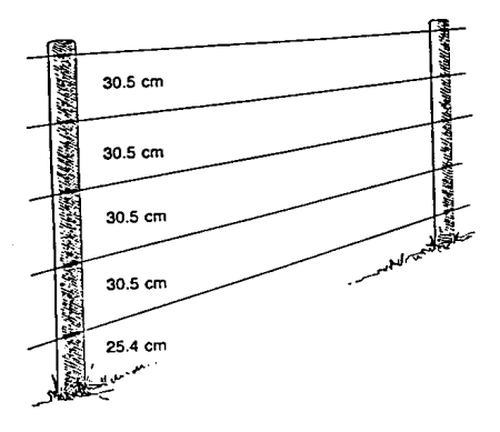 Penn State vertical electric fence